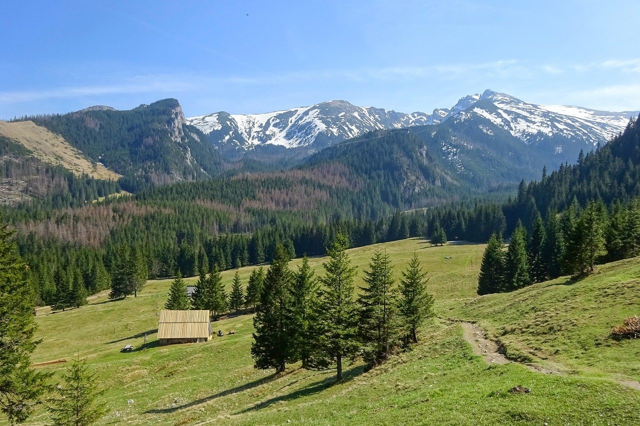 polana kalatowki 7958161 1280 2.jpg